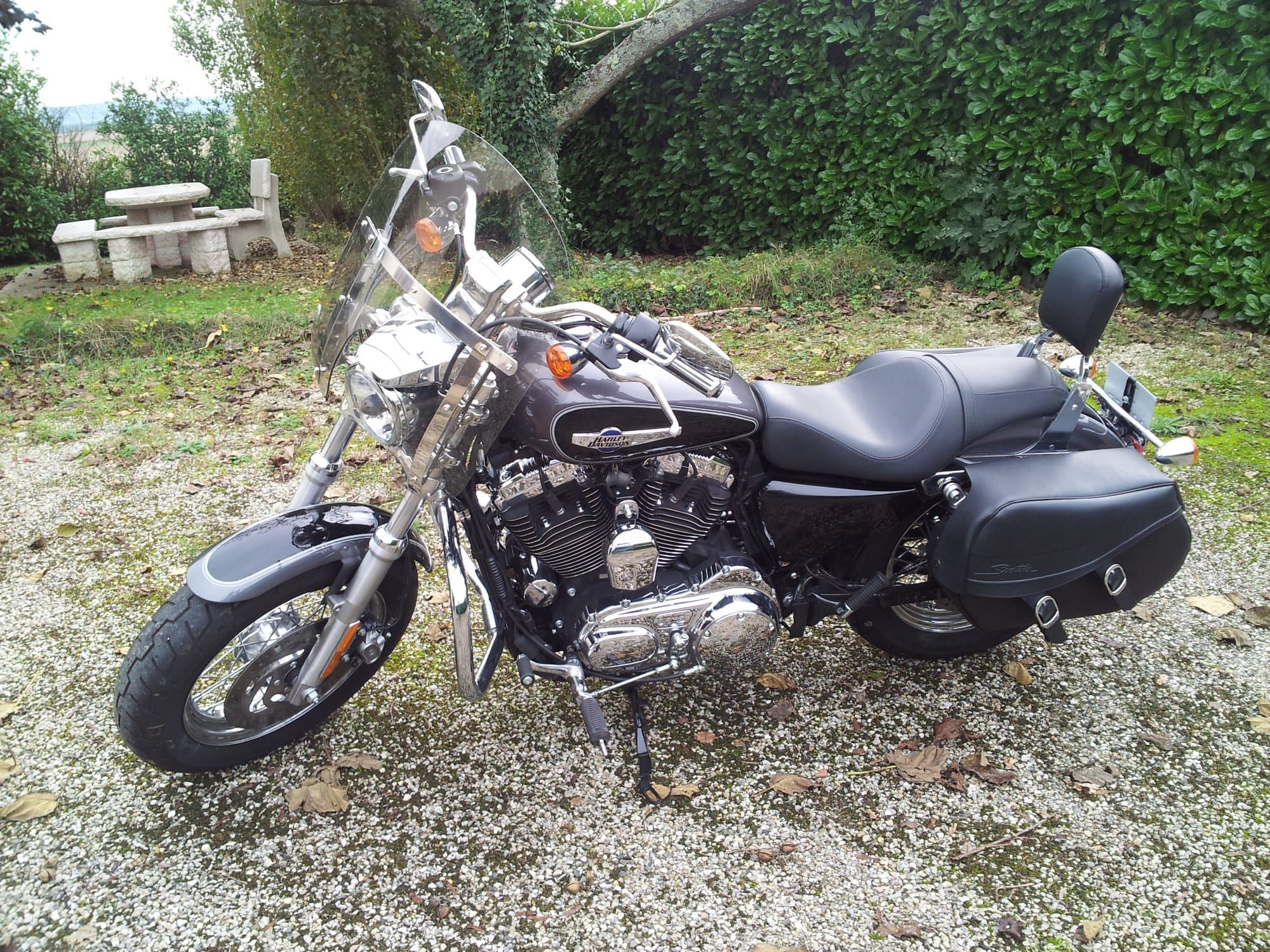 HARLEY SPORSTER XL1200C